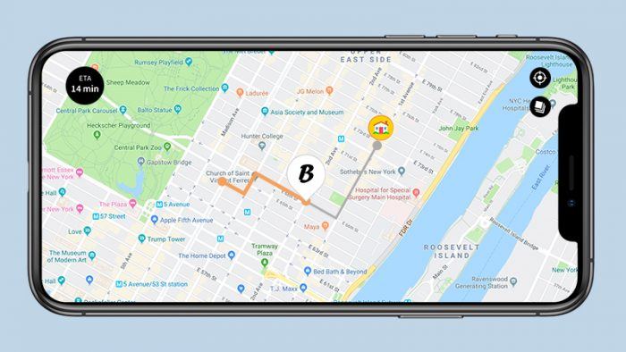 Beyond Tracking: The Promise and Challenges of a Delivery Monitoring Systems